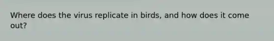 Where does the virus replicate in birds, and how does it come out?