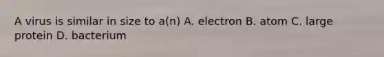 A virus is similar in size to a(n) A. electron B. atom C. large protein D. bacterium