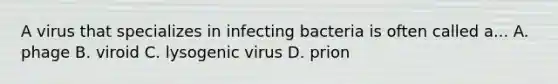 A virus that specializes in infecting bacteria is often called a... A. phage B. viroid C. lysogenic virus D. prion