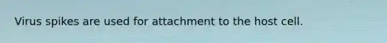 Virus spikes are used for attachment to the host cell.