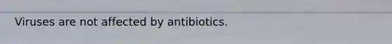 Viruses are not affected by antibiotics.