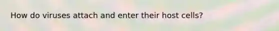 How do viruses attach and enter their host cells?