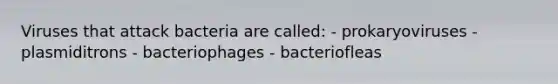 Viruses that attack bacteria are called: - prokaryoviruses - plasmiditrons - bacteriophages - bacteriofleas