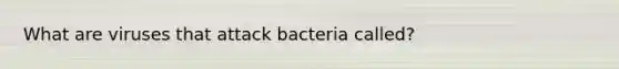 What are viruses that attack bacteria called?