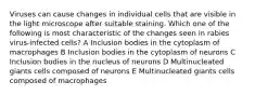 Viruses can cause changes in individual cells that are visible in the light microscope after suitable staining. Which one of the following is most characteristic of the changes seen in rabies virus-infected cells? A Inclusion bodies in the cytoplasm of macrophages B Inclusion bodies in the cytoplasm of neurons C Inclusion bodies in the nucleus of neurons D Multinucleated giants cells composed of neurons E Multinucleated giants cells composed of macrophages