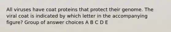 All viruses have coat proteins that protect their genome. The viral coat is indicated by which letter in the accompanying figure? Group of answer choices A B C D E