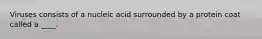 Viruses consists of a nucleic acid surrounded by a protein coat called a ____.