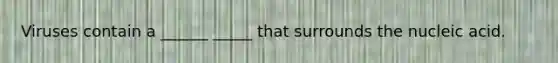 Viruses contain a ______ _____ that surrounds the nucleic acid.