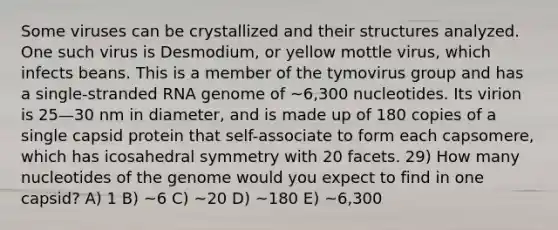 Some viruses can be crystallized and their structures analyzed. One such virus is Desmodium, or yellow mottle virus, which infects beans. This is a member of the tymovirus group and has a single-stranded RNA genome of ~6,300 nucleotides. Its virion is 25—30 nm in diameter, and is made up of 180 copies of a single capsid protein that self-associate to form each capsomere, which has icosahedral symmetry with 20 facets. 29) How many nucleotides of the genome would you expect to find in one capsid? A) 1 B) ~6 C) ~20 D) ~180 E) ~6,300