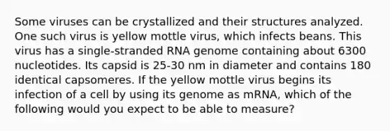 Some viruses can be crystallized and their structures analyzed. One such virus is yellow mottle virus, which infects beans. This virus has a single-stranded RNA genome containing about 6300 nucleotides. Its capsid is 25-30 nm in diameter and contains 180 identical capsomeres. If the yellow mottle virus begins its infection of a cell by using its genome as mRNA, which of the following would you expect to be able to measure?