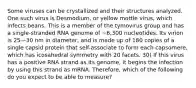 Some viruses can be crystallized and their structures analyzed. One such virus is Desmodium, or yellow mottle virus, which infects beans. This is a member of the tymovirus group and has a single-stranded RNA genome of ~6,300 nucleotides. Its virion is 25—30 nm in diameter, and is made up of 180 copies of a single capsid protein that self-associate to form each capsomere, which has icosahedral symmetry with 20 facets. 30) If this virus has a positive RNA strand as its genome, it begins the infection by using this strand as mRNA. Therefore, which of the following do you expect to be able to measure?