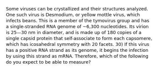 Some viruses can be crystallized and their structures analyzed. One such virus is Desmodium, or yellow mottle virus, which infects beans. This is a member of the tymovirus group and has a single-stranded RNA genome of ~6,300 nucleotides. Its virion is 25—30 nm in diameter, and is made up of 180 copies of a single capsid protein that self-associate to form each capsomere, which has icosahedral symmetry with 20 facets. 30) If this virus has a positive RNA strand as its genome, it begins the infection by using this strand as mRNA. Therefore, which of the following do you expect to be able to measure?