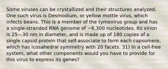 Some viruses can be crystallized and their structures analyzed. One such virus is Desmodium, or yellow mottle virus, which infects beans. This is a member of the tymovirus group and has a single-stranded RNA genome of ~6,300 nucleotides. Its virion is 25—30 nm in diameter, and is made up of 180 copies of a single capsid protein that self-associate to form each capsomere, which has icosahedral symmetry with 20 facets. 31) In a cell-free system, what other components would you have to provide for this virus to express its genes?