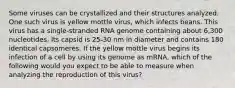 Some viruses can be crystallized and their structures analyzed. One such virus is yellow mottle virus, which infects beans. This virus has a single-stranded RNA genome containing about 6,300 nucleotides. Its capsid is 25-30 nm in diameter and contains 180 identical capsomeres. If the yellow mottle virus begins its infection of a cell by using its genome as mRNA, which of the following would you expect to be able to measure when analyzing the reproduction of this virus?