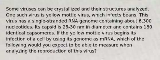 Some viruses can be crystallized and their structures analyzed. One such virus is yellow mottle virus, which infects beans. This virus has a single-stranded RNA genome containing about 6,300 nucleotides. Its capsid is 25-30 nm in diameter and contains 180 identical capsomeres. If the yellow mottle virus begins its infection of a cell by using its genome as mRNA, which of the following would you expect to be able to measure when analyzing the reproduction of this virus?