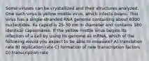 Some viruses can be crystallized and their structures analyzed. One such virus is yellow mottle virus, which infects beans. This virus has a single-stranded RNA genome containing about 6300 nucleotides. Its capsid is 25-30 nm in diameter and contains 180 identical capsomeres. If the yellow mottle virus begins its infection of a cell by using its genome as mRNA, which of the following would you expect to be able to measure? A) translation rate B) replication rate C) formation of new transcription factors D) transcription rate