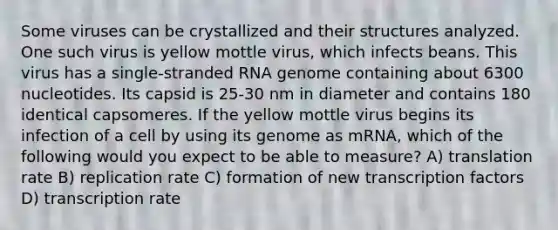 Some viruses can be crystallized and their structures analyzed. One such virus is yellow mottle virus, which infects beans. This virus has a single-stranded RNA genome containing about 6300 nucleotides. Its capsid is 25-30 nm in diameter and contains 180 identical capsomeres. If the yellow mottle virus begins its infection of a cell by using its genome as mRNA, which of the following would you expect to be able to measure? A) translation rate B) replication rate C) formation of new transcription factors D) transcription rate