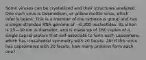 Some viruses can be crystallized and their structures analyzed. One such virus is Desmodium, or yellow mottle virus, which infects beans. This is a member of the tymovirus group and has a single-stranded RNA genome of ~6,300 nucleotides. Its virion is 25—30 nm in diameter, and is made up of 180 copies of a single capsid protein that self-associate to form each capsomere, which has icosahedral symmetry with 20 facets. 28) If this virus has capsomeres with 20 facets, how many proteins form each one?