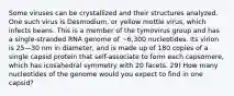 Some viruses can be crystallized and their structures analyzed. One such virus is Desmodium, or yellow mottle virus, which infects beans. This is a member of the tymovirus group and has a single-stranded RNA genome of ~6,300 nucleotides. Its virion is 25—30 nm in diameter, and is made up of 180 copies of a single capsid protein that self-associate to form each capsomere, which has icosahedral symmetry with 20 facets. 29) How many nucleotides of the genome would you expect to find in one capsid?