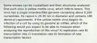 Some viruses can be crystallized and their structures analyzed. One such virus is yellow mottle virus, which infects beans. This virus has a single-stranded RNA genome containing about 6,300 nucleotides. Its capsid is 25-30 nm in diameter and contains 180 identical capsomeres. If the yellow mottle virus begins its infection of a cell by using its genome as mRNA, which of the following would you expect to be able to measure when analyzing the reproduction of this virus? A) replication rate B) transcription rate C) translation rate D) formation of new transcription factors