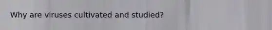 Why are viruses cultivated and studied?