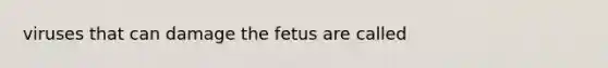 viruses that can damage the fetus are called