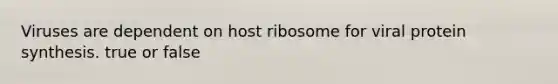 Viruses are dependent on host ribosome for viral <a href='https://www.questionai.com/knowledge/kVyphSdCnD-protein-synthesis' class='anchor-knowledge'>protein synthesis</a>. true or false