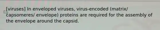 [viruses] In enveloped viruses, virus-encoded (matrix/ capsomeres/ envelope) proteins are required for the assembly of the envelope around the capsid.