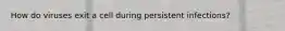 How do viruses exit a cell during persistent infections?