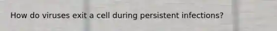 How do viruses exit a cell during persistent infections?