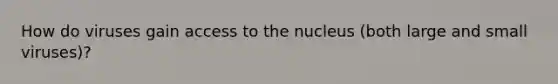 How do viruses gain access to the nucleus (both large and small viruses)?