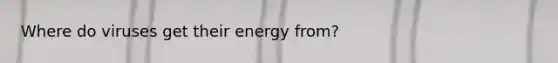 Where do viruses get their energy from?