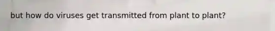 but how do viruses get transmitted from plant to plant?
