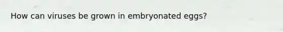 How can viruses be grown in embryonated eggs?