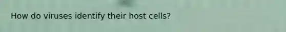 How do viruses identify their host cells?