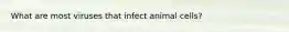 What are most viruses that infect animal cells?