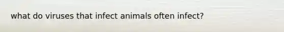 what do viruses that infect animals often infect?