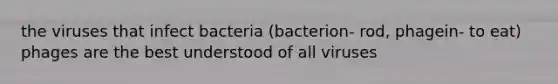 the viruses that infect bacteria (bacterion- rod, phagein- to eat) phages are the best understood of all viruses