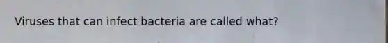 Viruses that can infect bacteria are called what?