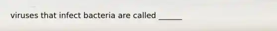 viruses that infect bacteria are called ______
