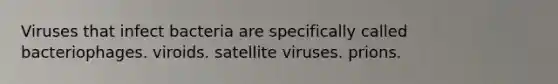 Viruses that infect bacteria are specifically called bacteriophages. viroids. satellite viruses. prions.