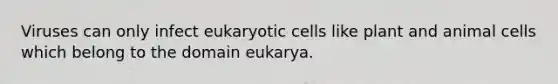 Viruses can only infect eukaryotic cells like plant and animal cells which belong to the domain eukarya.