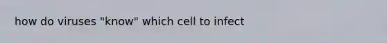 how do viruses "know" which cell to infect