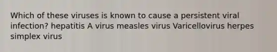 Which of these viruses is known to cause a persistent viral infection? hepatitis A virus measles virus Varicellovirus herpes simplex virus