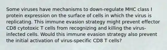 Some viruses have mechanisms to down-regulate MHC class I protein expression on the surface of cells in which the virus is replicating. This immune evasion strategy might prevent effector CD8 cytotoxic T cells from recognizing and killing the virus-infected cells. Would this immune evasion strategy also prevent the initial activation of virus-specific CD8 T cells?