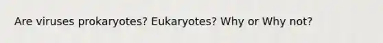 Are viruses prokaryotes? Eukaryotes? Why or Why not?