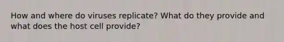 How and where do viruses replicate? What do they provide and what does the host cell provide?