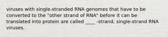 viruses with single-stranded RNA genomes that have to be converted to the "other strand of RNA" before it can be translated into protein are called ____ -strand, single-strand RNA viruses.