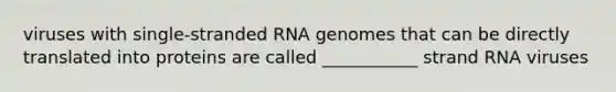 viruses with single-stranded RNA genomes that can be directly translated into proteins are called ___________ strand RNA viruses