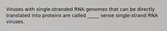 Viruses with single-stranded RNA genomes that can be directly translated into proteins are called _____ sense single-strand RNA viruses.